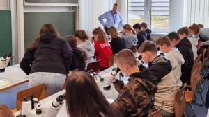 Workshop während des MINT-Festivals Jena 2023