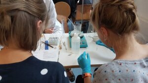 Workshops beim MINT-Festival Jena
