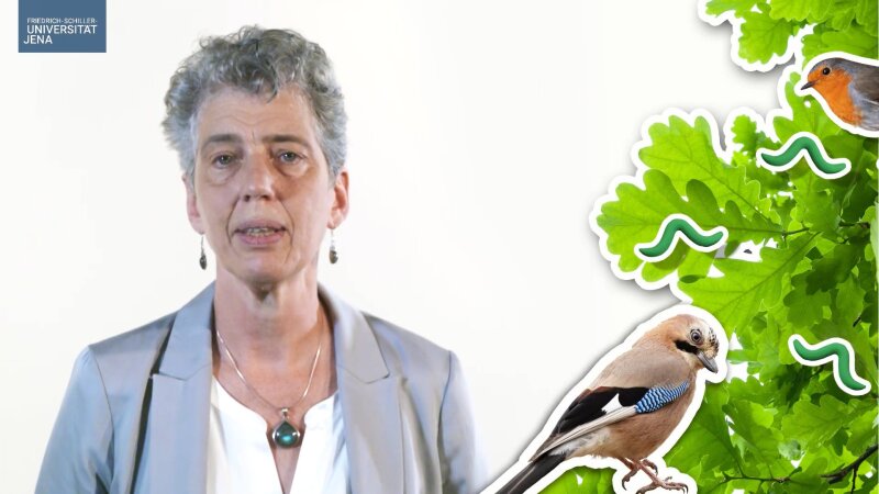 Platzhalterbild — Video "Stimmt das?" mit Prof. Nicole van Dam
