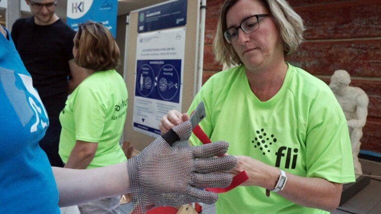 Mitmach-Stand des Fritz-Lipmann-Instituts beim MINT-Festival Jena 2018