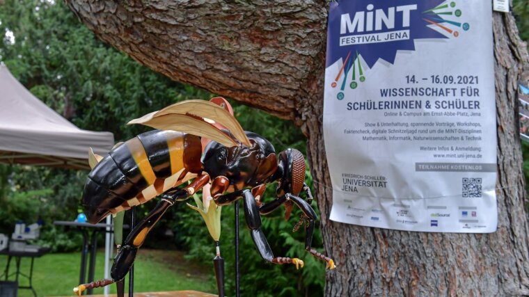 Workshop "Fleißige Bienchen" im Botanischen Garten